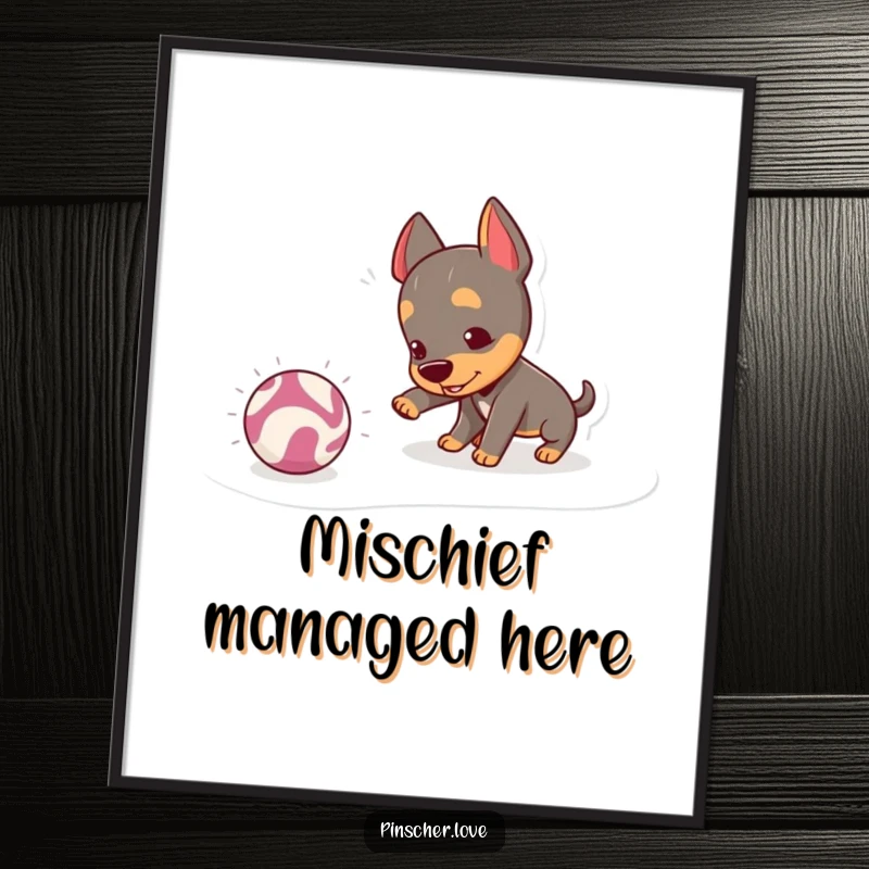 Funny Pinscher Poster: A mischievous pinscher playfully nudges a crinkly ball, capturing a moment of dynamic action and pure canine delight.